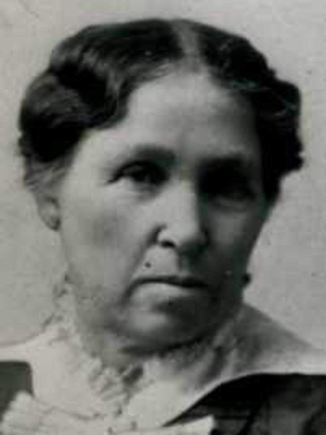 Caroline Clarissa Calkins (1851 - 1921) Profile